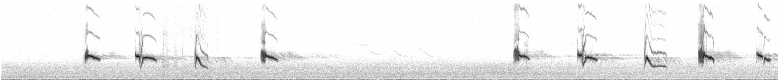 Уздечковый овсяночник - ML34739601