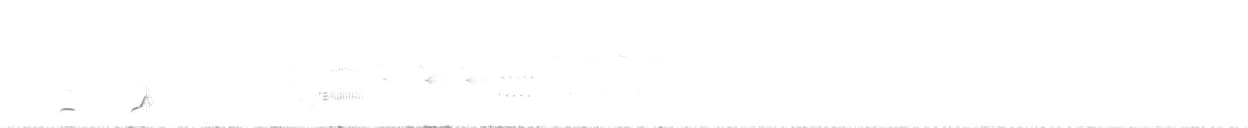 Northern Bobwhite - ML347396031