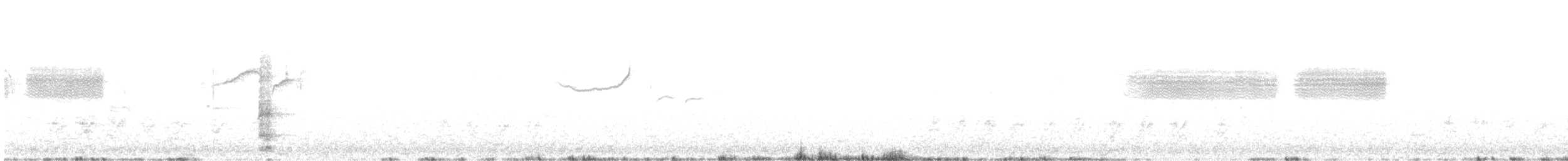 Ring-necked Pheasant - ML347402561