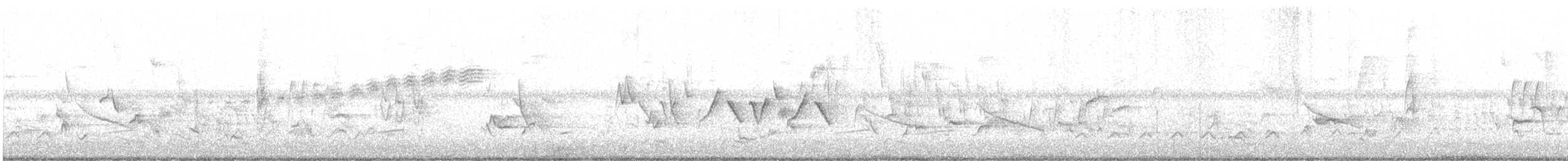 Prairie Warbler - ML347414771