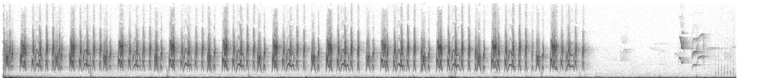 Calandrite bergeronnette - ML34742021