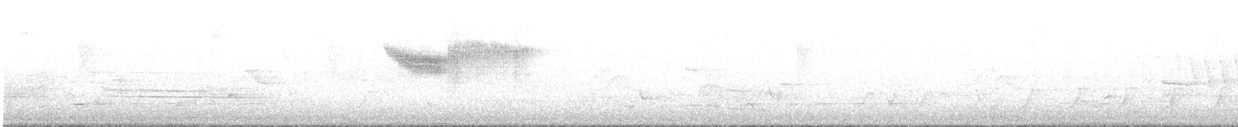 Голубокрылая червеедка - ML347433921