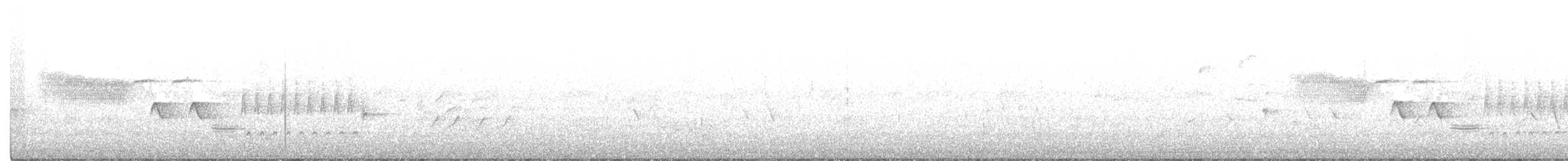Bewick's Wren - ML347465321