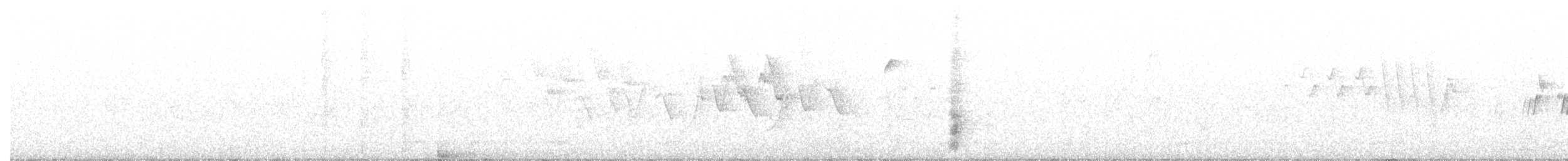 Черногорлая хвойница - ML347475251