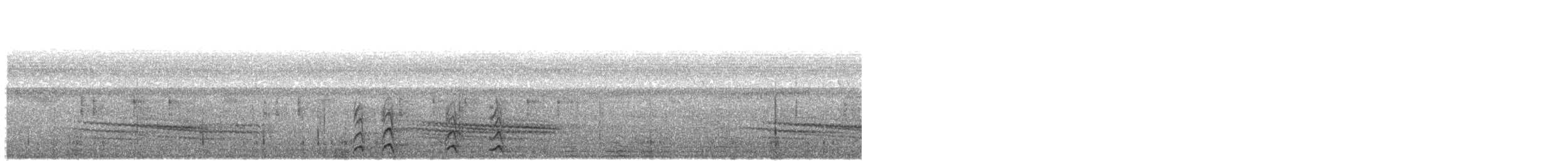 Bändernachtschwalbe - ML347550321
