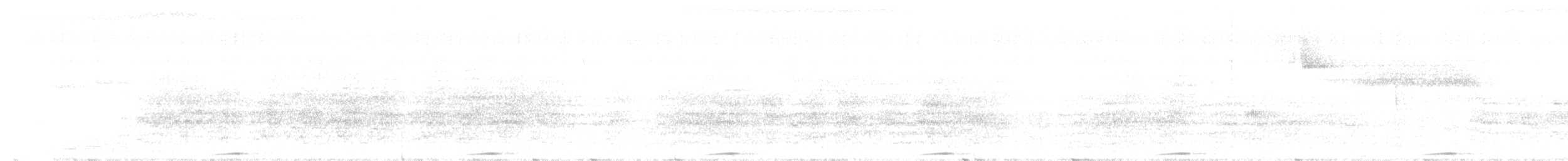 Каштановогрудая земляная горлица - ML347603431