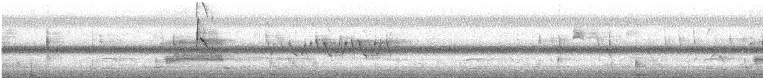 østkongetyrann - ML347605001