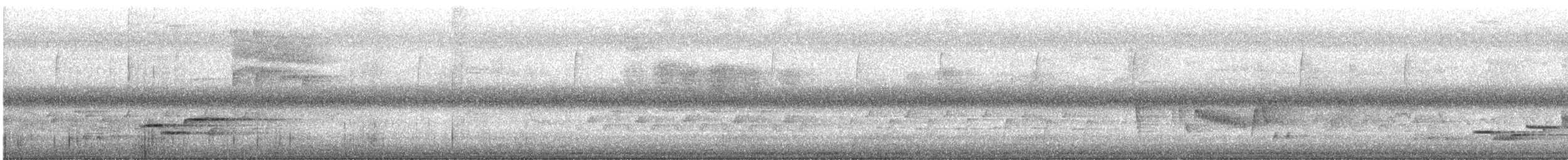 Grive des bois - ML347606331