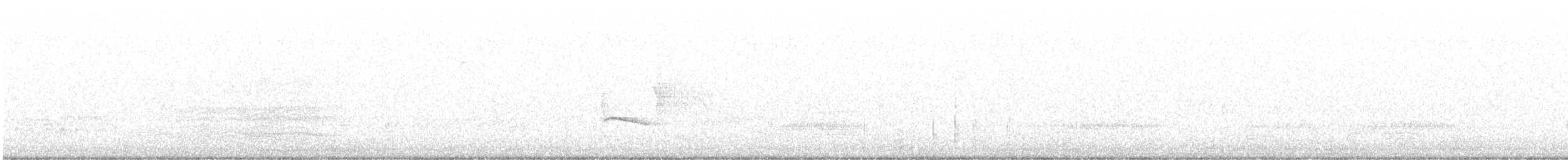 Western Grebe - ML347657121
