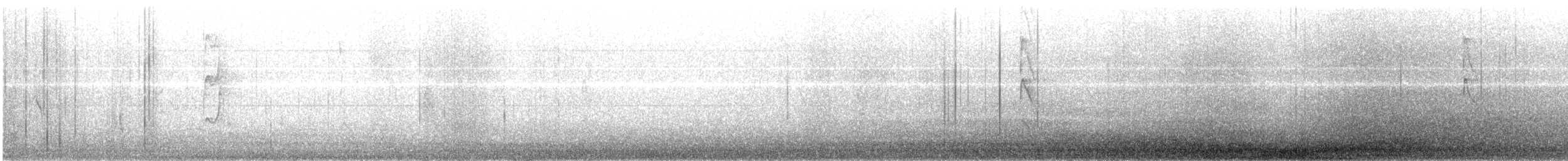 Brushland Tinamou - ML347738581
