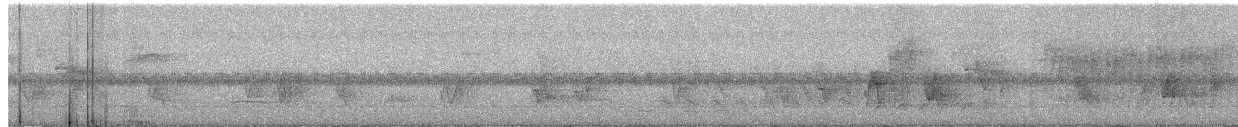 Thicket Tinamou - ML347783091
