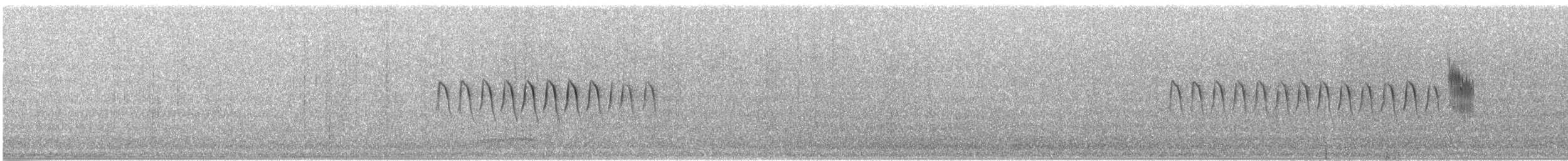 Юнко сірий [група oreganus] - ML347845911