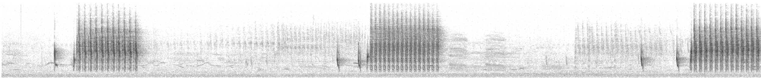 Troglodyte des marais - ML34785181