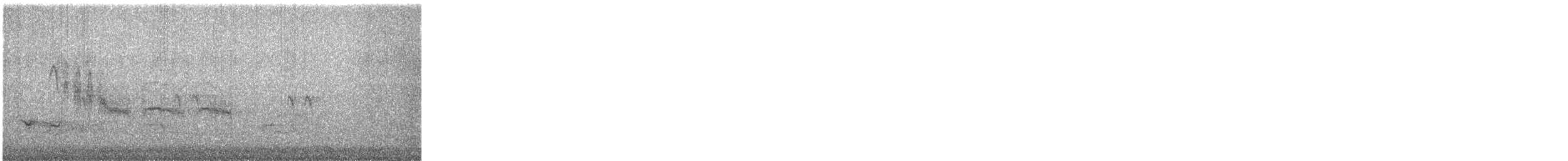 chickadee sp. - ML347927131