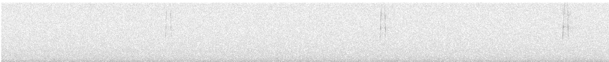 sluka lesní - ML347961361