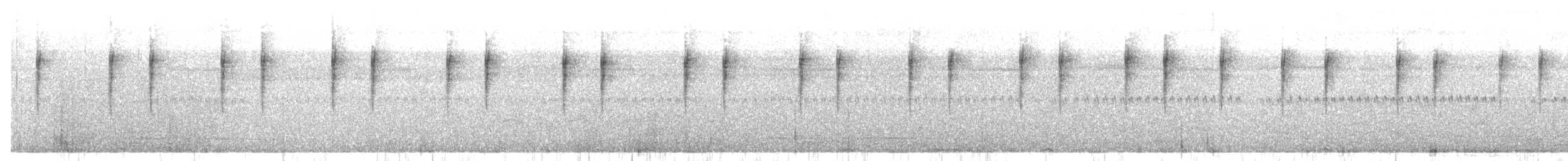 Cisticole des joncs - ML347982711