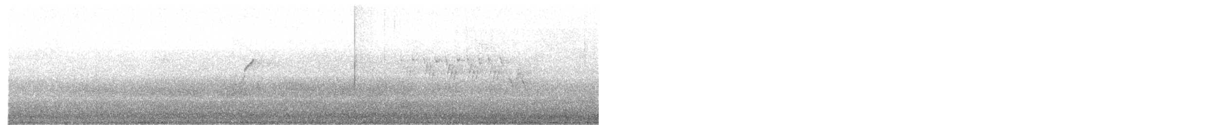 Western Flycatcher (Pacific-slope) - ML347989641