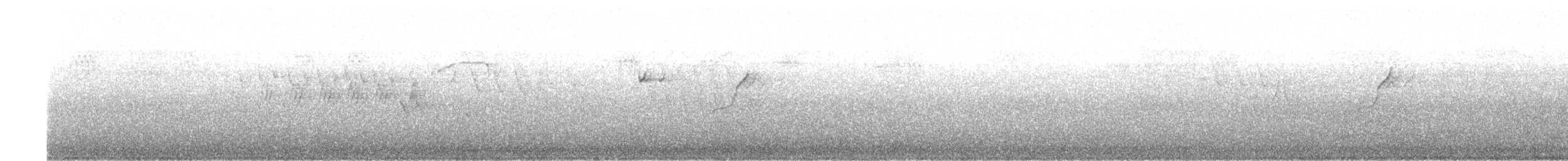 Western Flycatcher (Pacific-slope) - ML347989691