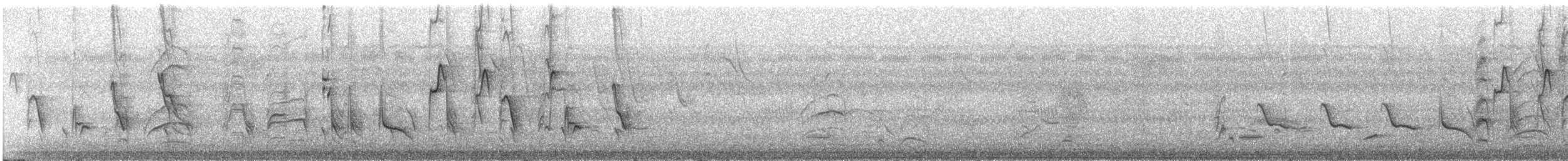 Рисоїд нікарагуанський - ML348067861