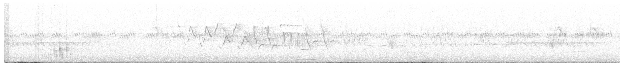 svartnebbgjøk - ML348078631