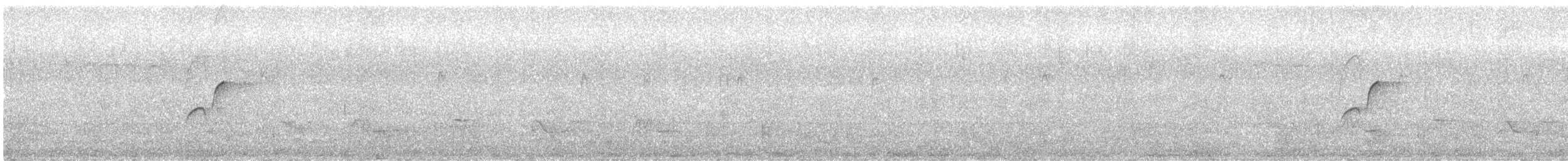 Batı Amerika Sinekkapanı (occidentalis/hellmayri) - ML348140911