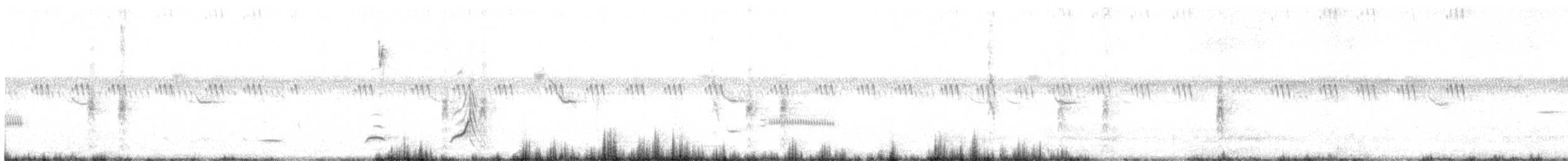 Виргинский перепел - ML348147631