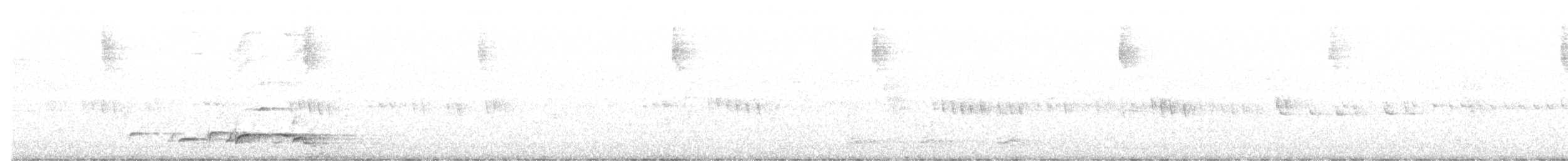 Black-naped Oriole - ML348177871