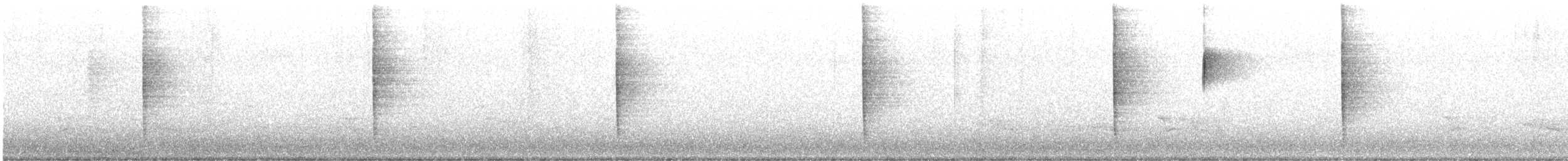 チャイロツグミモドキ - ML348244731