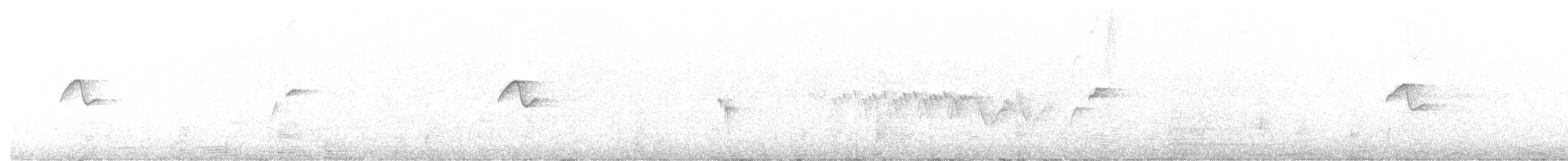 Batı Amerika Sinekkapanı (occidentalis/hellmayri) - ML348258341