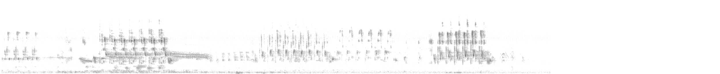 pygmérørdrum - ML348261491