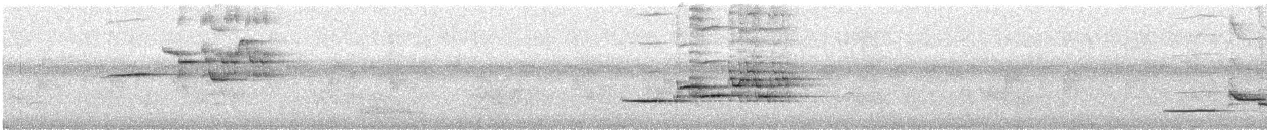 Дрізд-короткодзьоб плямистоволий - ML348292471