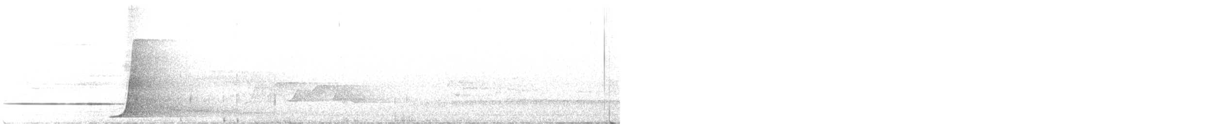 Белогорлая птица-бич - ML348292771