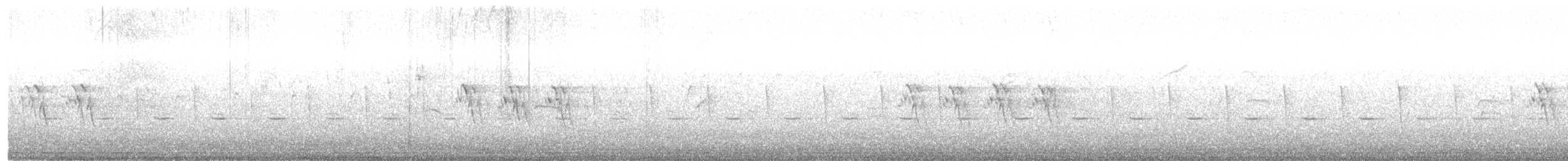 langhaleskredderfugl - ML348341671