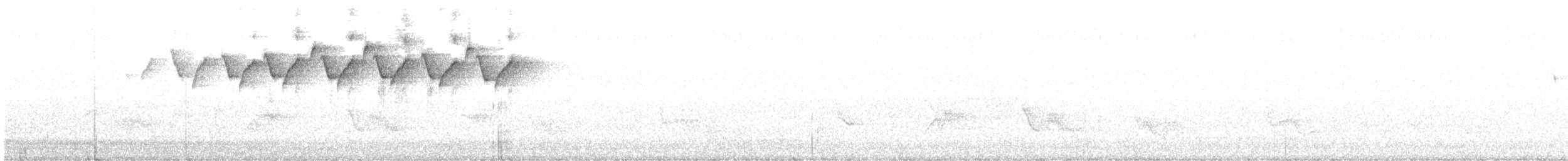 lesňáček černobílý - ML348438731