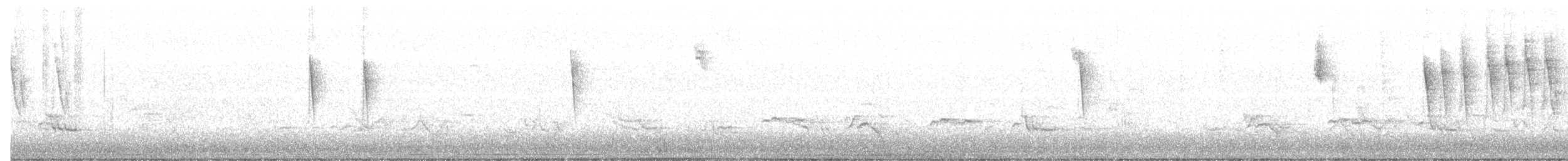 Yellow Warbler (Northern) - ML348475281
