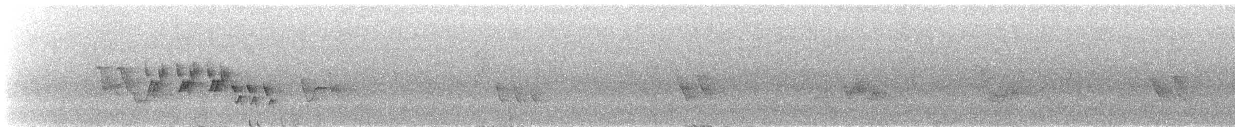 svartbrystparula - ML348476331