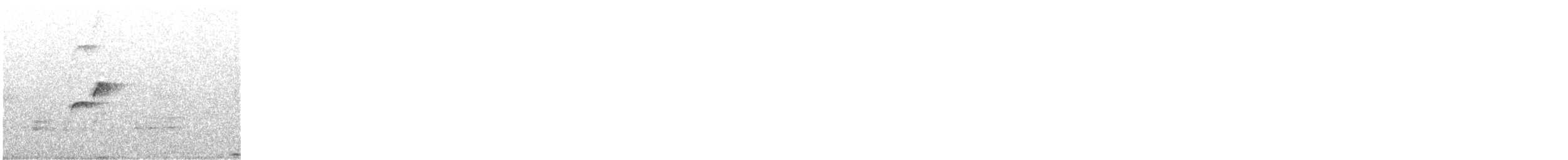 Batı Amerika Sinekkapanı (occidentalis/hellmayri) - ML348516651