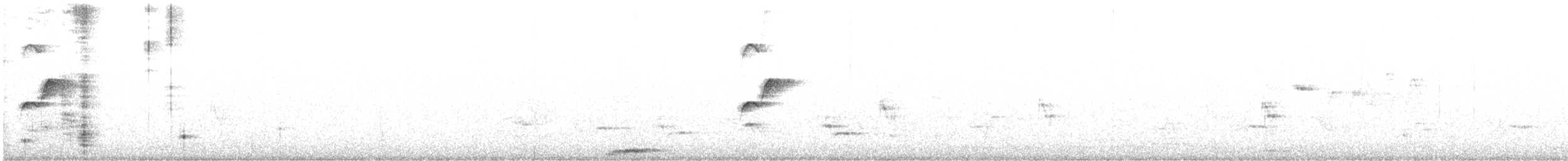 Batı Amerika Sinekkapanı (occidentalis/hellmayri) - ML348516661