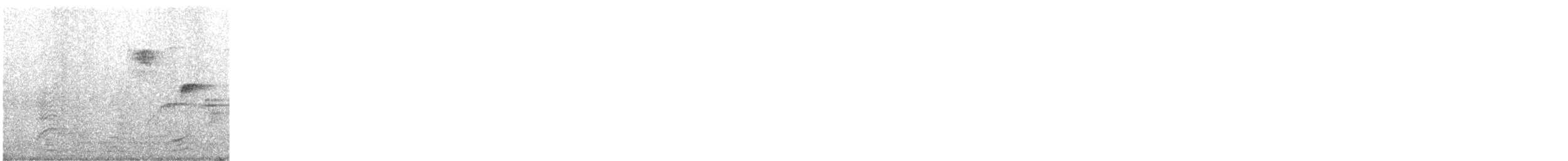 Batı Amerika Sinekkapanı (occidentalis/hellmayri) - ML348516811