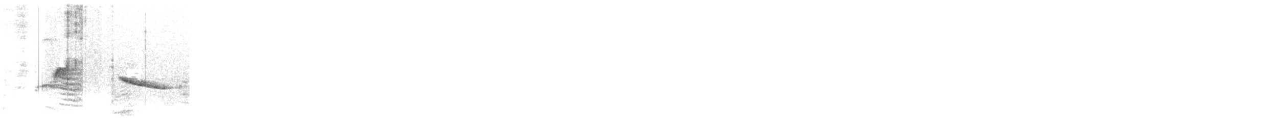 Batı Amerika Sinekkapanı (occidentalis/hellmayri) - ML348516821