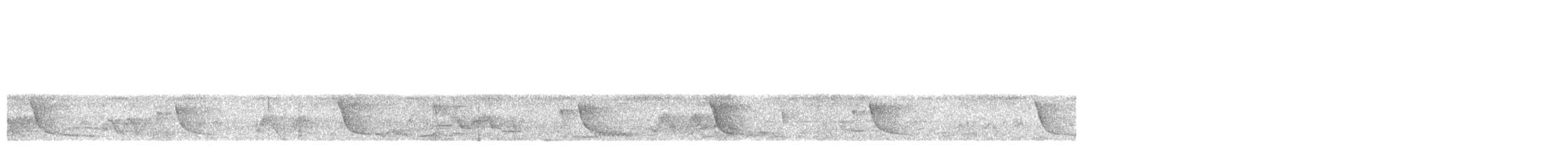 Çizgili Büyük Tiran - ML348519341