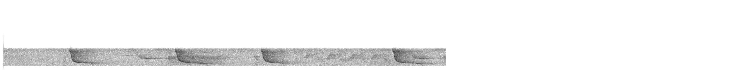 Çizgili Büyük Tiran - ML348519351