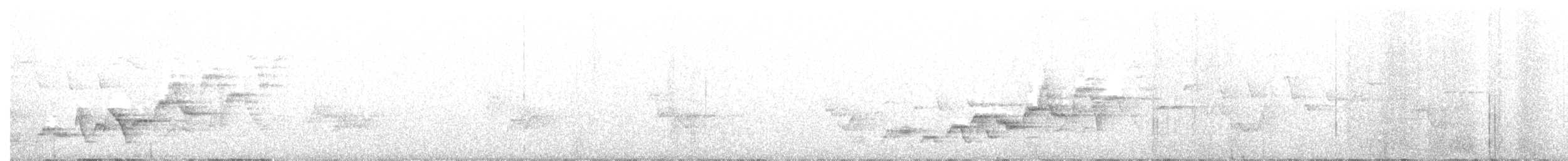 Дрізд-короткодзьоб Cвенсона - ML348536391