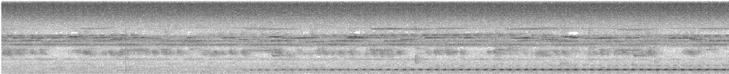 Watsonkreischeule - ML348537041