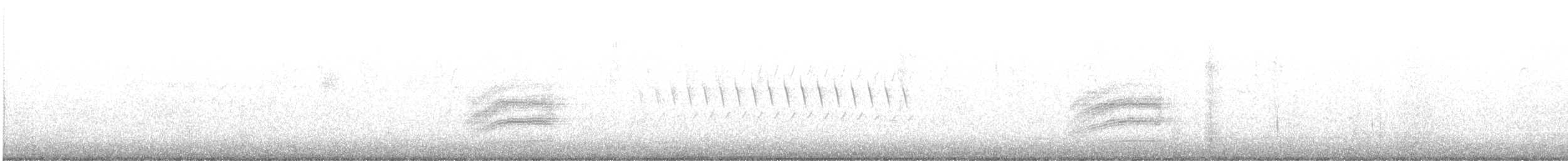 Тауї плямистий [група oregonus] - ML348544061