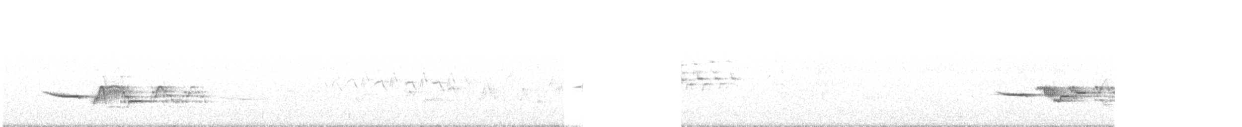 Дрізд-короткодзьоб плямистоволий - ML348565591