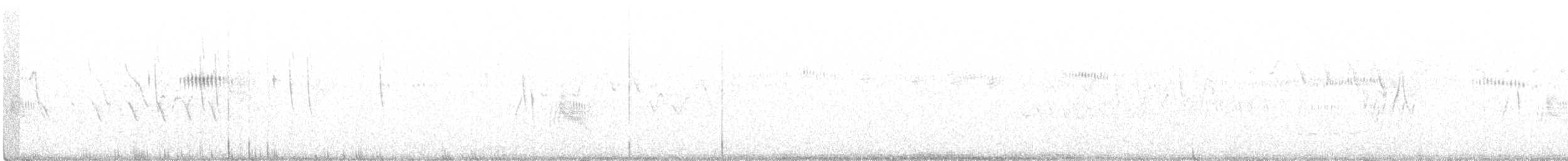 tyranovec vrbový - ML348578161