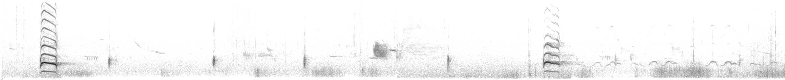 ハジロオオシギ（semipalmata） - ML348625071