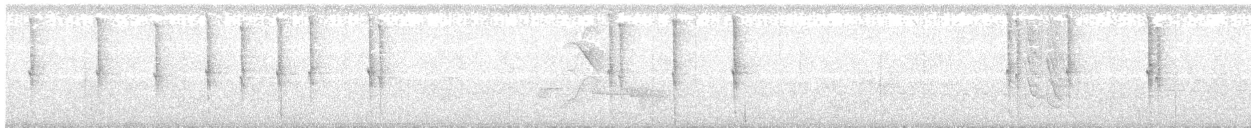 Белогузый колибри - ML348660891