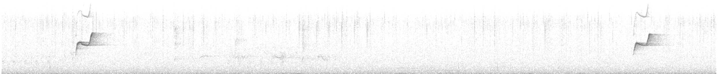 vestempid (difficilis gr.) - ML348667811